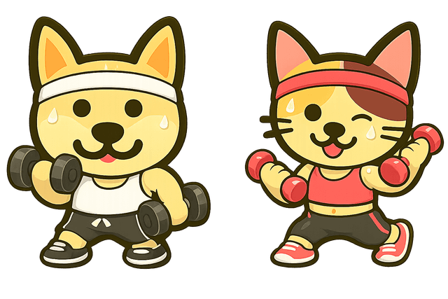 Gym cats
